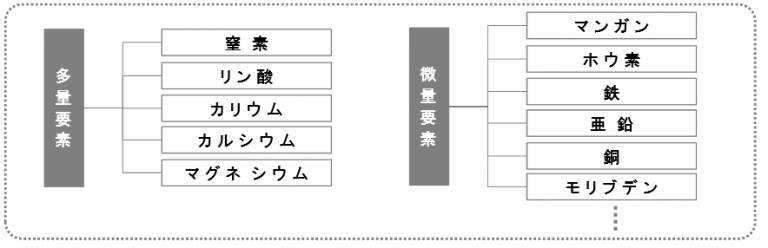 保存版 肥料について徹底解説 種類 成分 三要素 取締法の全てがわかる 農業 ガーデニング 園芸 家庭菜園マガジン Agri Pick