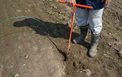 防虫ネットの張り方教えます 畑からプランター ベランダまで 農業 ガーデニング 園芸 家庭菜園マガジン Agri Pick