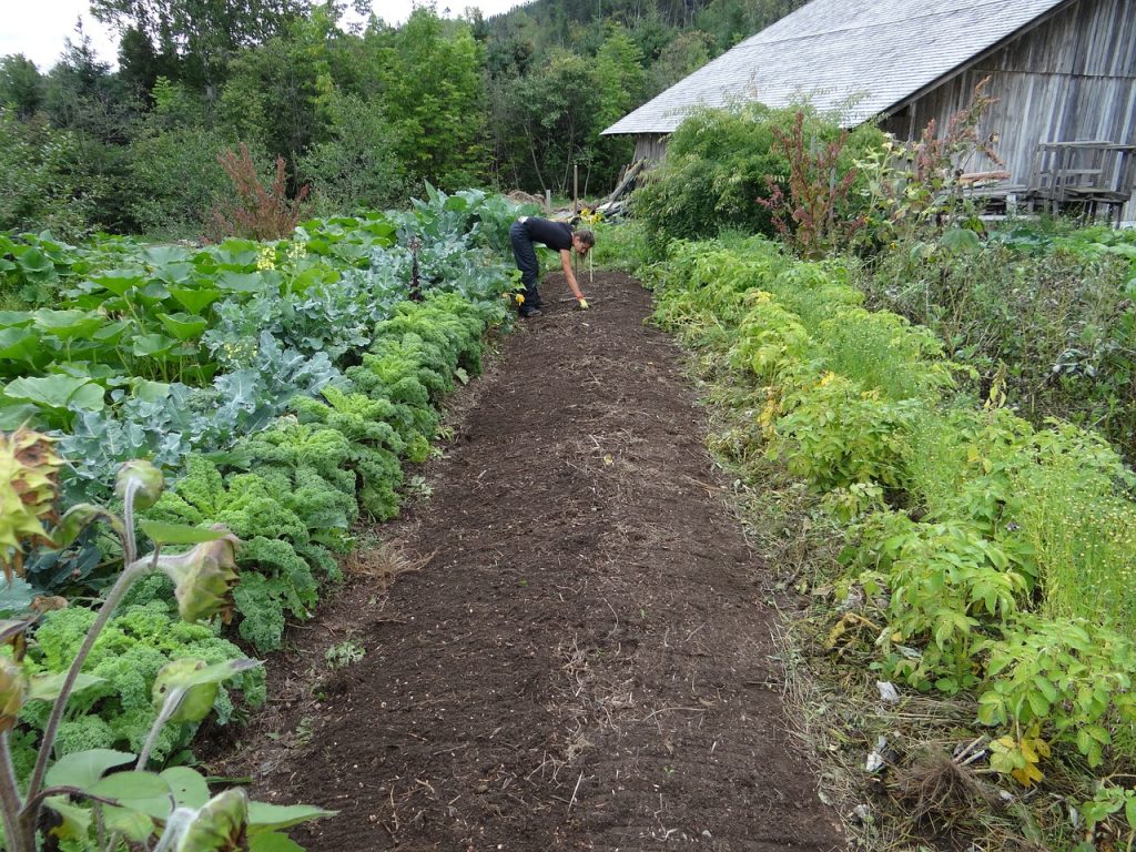 これが知りたかった 基本の土作りを徹底解説 農業 ガーデニング 園芸 家庭菜園マガジン Agri Pick