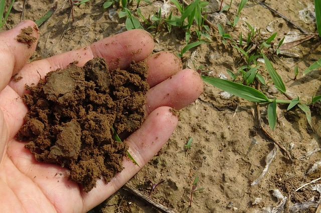 苦土石灰約1.7kg ガーデニング 家庭園芸 肥料畑土作り菜園 ポイント消化 大割引