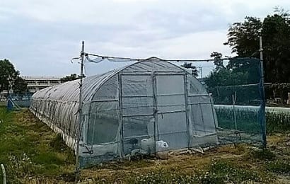 防風ネットの張り方と設置のコツ 今すぐできる台風対策 農業 ガーデニング 園芸 家庭菜園マガジン Agri Pick