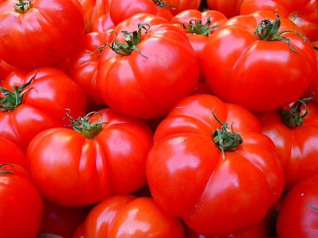 トマトの保存方法を徹底解析 常温 冷蔵 冷凍 保存食 農業 ガーデニング 園芸 家庭菜園マガジン Agri Pick