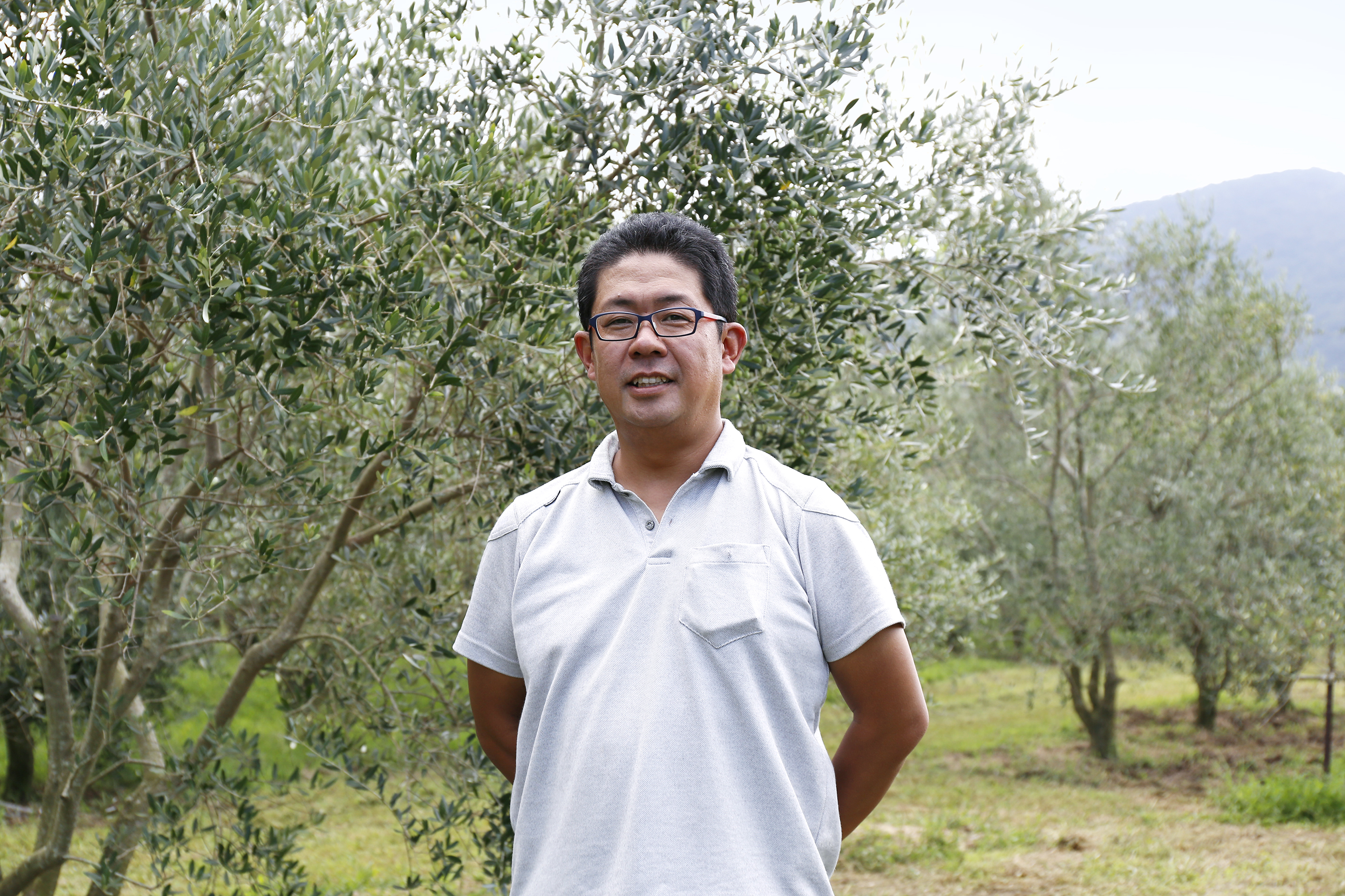 小豆島のオリーブ農家に聞く オリーブの木の育て方 地植え 農業 ガーデニング 園芸 家庭菜園マガジン Agri Pick