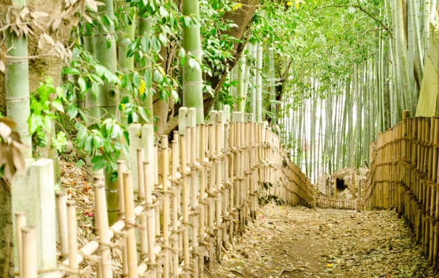 竹垣がある素敵な和風のお庭を 竹垣の種類 作り方 結び方を紹介 農業 ガーデニング 園芸 家庭菜園マガジン Agri Pick