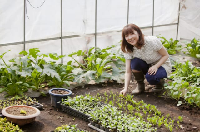 用途別 培養土の作り方や使い方 野菜やバラ向けのおすすめと比較も 農業 ガーデニング 園芸 家庭菜園マガジン Agri Pick