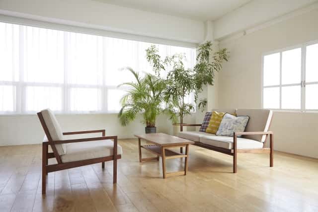 陶器の植木鉢は、部屋の中での存在感あり