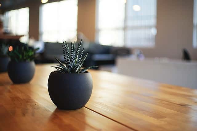 釉薬が塗られた陶器の植木鉢