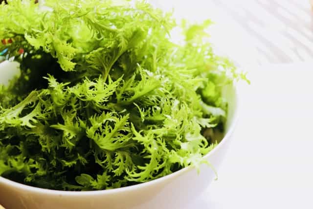 からし菜のサラダ