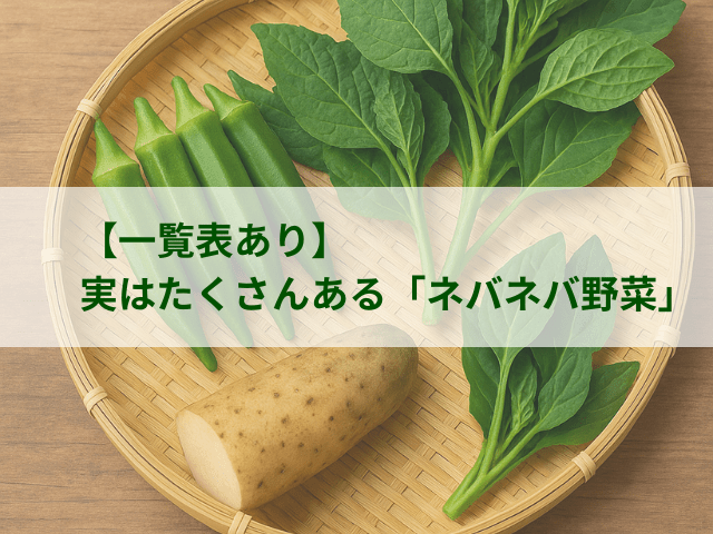 【一覧表あり】夏バテ防止！実はたくさんある「ネバネバ野菜」の種類。葉っぱ・根菜など