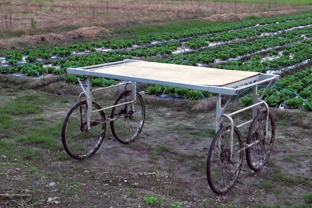 おすすめの収穫台車14選｜負担を軽減！選び方とタイプ別に選び方を紹介