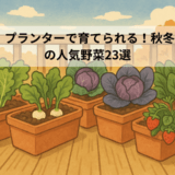 プランターで育てられる！秋冬の人気野菜23選