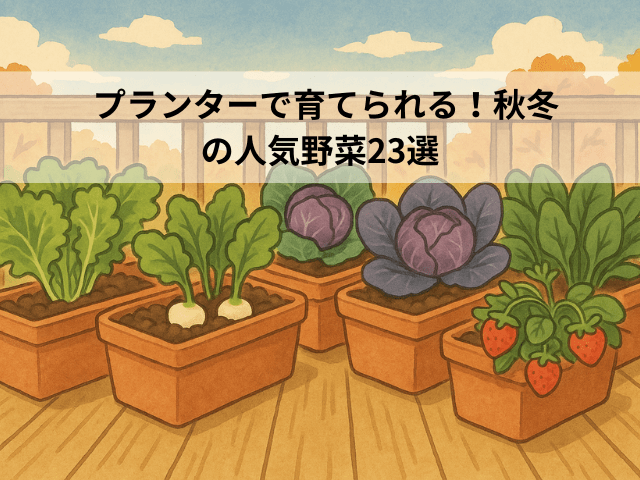 プランターで育てられる！秋冬の人気野菜23選
