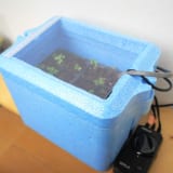 発泡スチロールを使った自作育苗器
