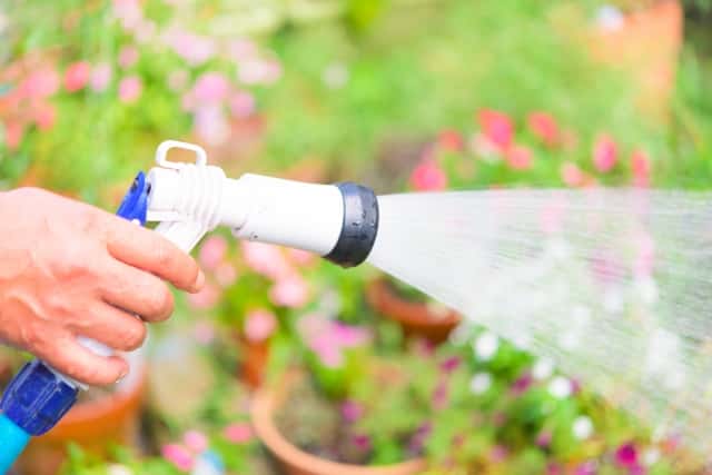 ホースで水やりする手元