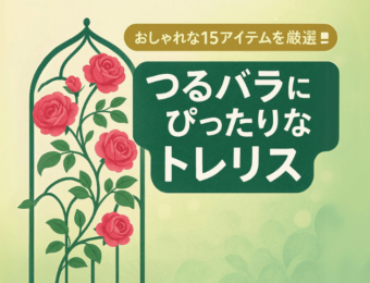 【おしゃれな15アイテムを厳選！】つるバラ誘引にぴったりなトレリスとは？