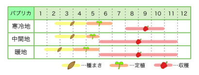 パプリカ 基本の育て方と本格的な栽培のコツ 農業 ガーデニング 園芸 家庭菜園マガジン Agri Pick