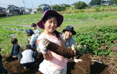 芋堀をする子ども