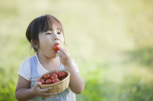 外でトマトを食べる子ども