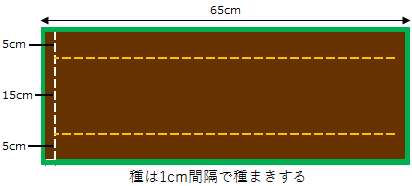 春菊のプランター作付図