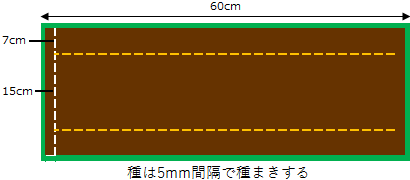 プランターの植え付け