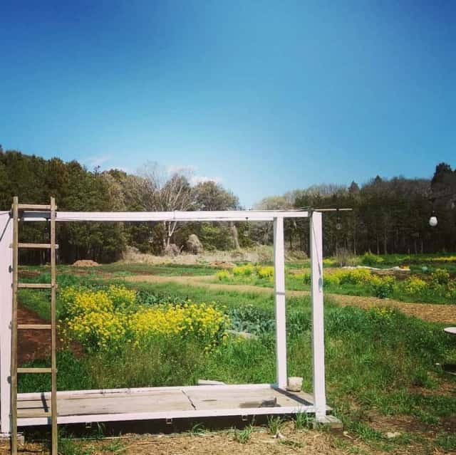はる農園立夏
