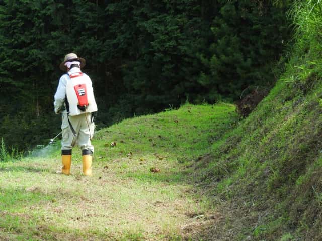 除草剤をまく男性