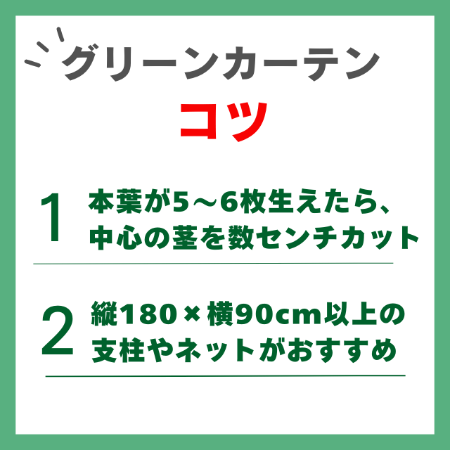 グリーンカーテンのコツ