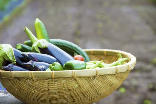 籠に入った夏野菜