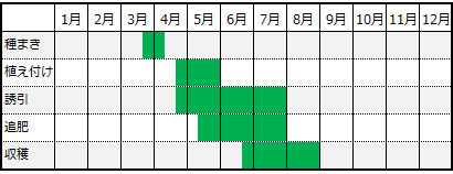 きゅうりの栽培カレンダー