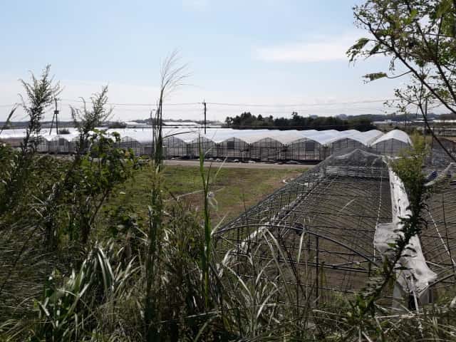 台風シーズン到来 ビニールハウスと畑を守るために今からできること 農業 ガーデニング 園芸 家庭菜園マガジン Agri Pick