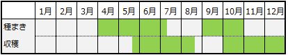 ルッコラの栽培カレンダー
