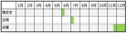 セロリ夏まきカレンダー