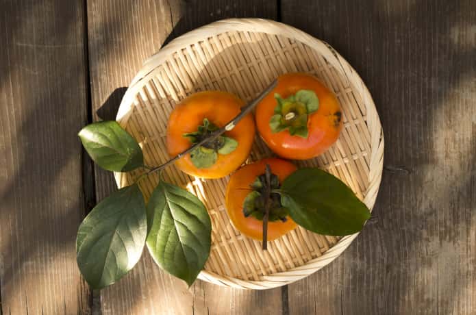 管理が簡単で実付き良し 柿の栽培方法 甘柿 渋柿の品種の違いも 農業 ガーデニング 園芸 家庭菜園マガジン Agri Pick