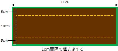 プランター栽培での種まきの説明イラスト