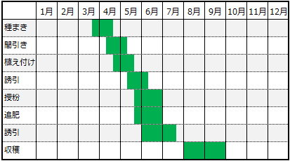 かぼちゃ栽培カレンダー