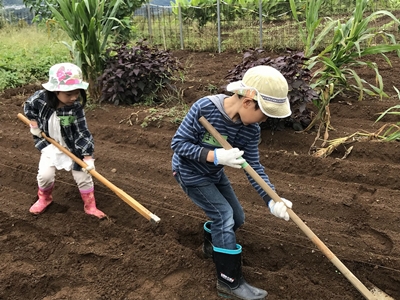 畑を耕す子どもたち
