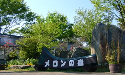メロンの森