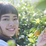 レモンを収穫する女性