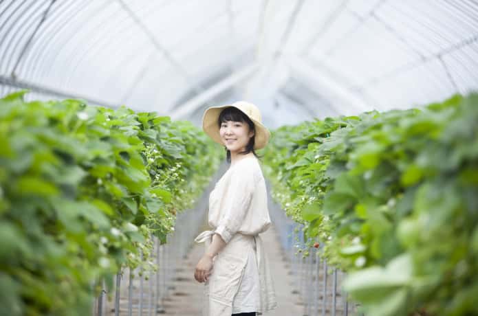 農業バイトにチャレンジ 失敗しない選び方は 農業 ガーデニング 園芸 家庭菜園マガジン Agri Pick