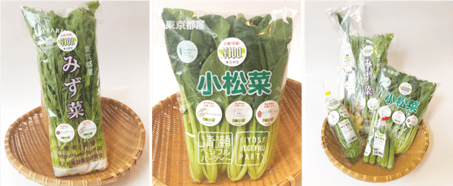 東京野菜の小松菜