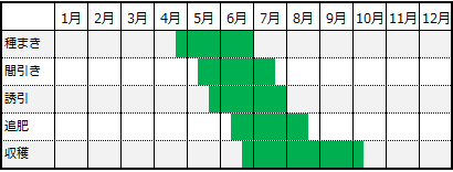 栄養満点 つるむらさきを栽培してみよう 保存のコツとおすすめレシピも 農業 ガーデニング 園芸 家庭菜園マガジン Agri Pick