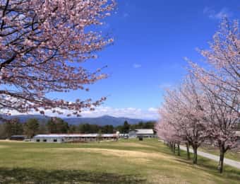 農業大学校の遠景