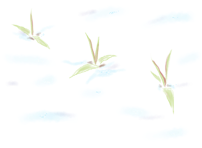 二十四節気、冬、農業、雪下麦出