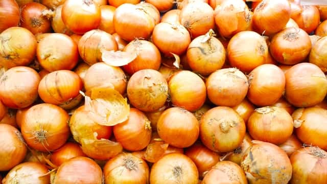大量の玉ねぎ
