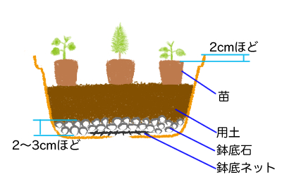寄せ植えの植え付け