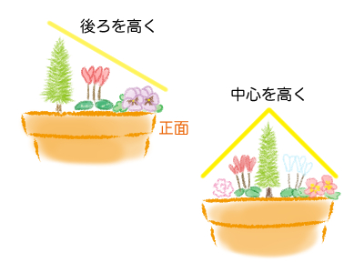 寄せ植え、苗の配置