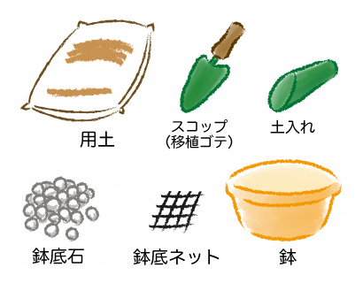 寄せ植え、準備するもの