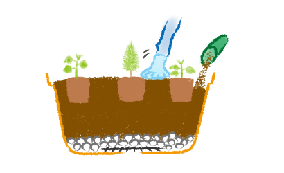 寄せ植えの植え付け