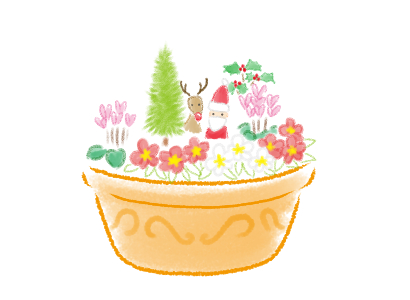 クリスマス、寄せ植え