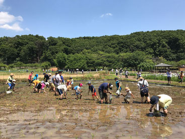 オリーブパーク東京